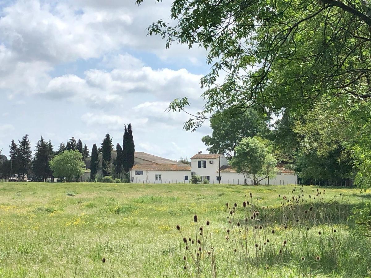 Mas Du Pont De Laute Villa Le Cailar Eksteriør bilde
